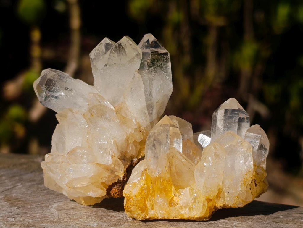 Natural Golden Limonite Quartz Clusters x 36 From Solwezi, Zambia - Toprock Gemstones and Minerals 