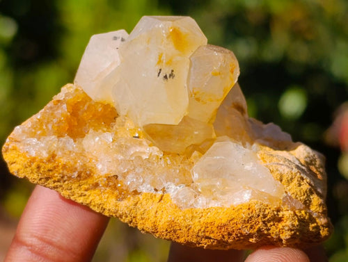 Natural Golden Limonite Quartz Clusters x 36 From Solwezi, Zambia - Toprock Gemstones and Minerals 