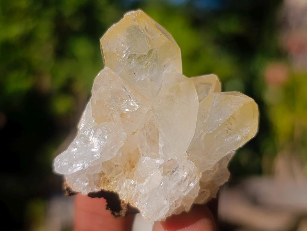 Natural Golden Limonite Quartz Clusters x 36 From Solwezi, Zambia - Toprock Gemstones and Minerals 