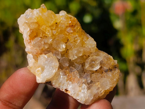 Natural Golden Limonite Quartz Clusters x 36 From Solwezi, Zambia - Toprock Gemstones and Minerals 