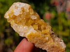 Natural Golden Limonite Quartz Clusters x 36 From Solwezi, Zambia - Toprock Gemstones and Minerals 