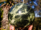 Polished Large Leopard Stone Sphere x 1 From Zimbabwe - Toprock Gemstones and Minerals 