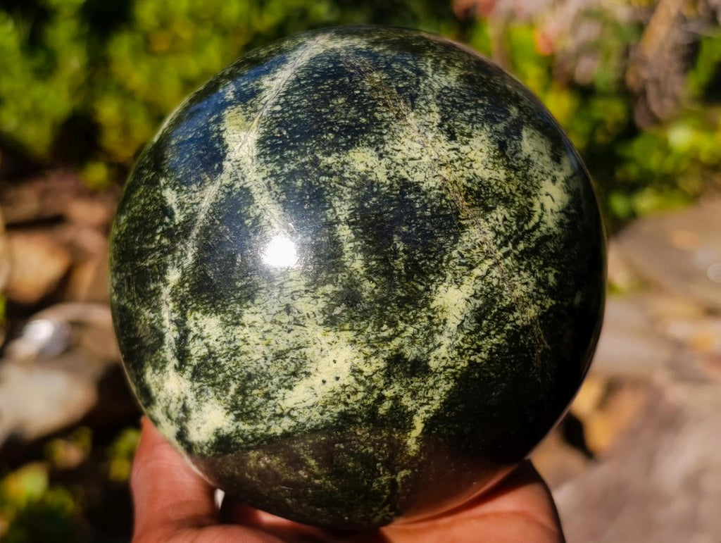 Polished Large Leopard Stone Sphere x 1 From Zimbabwe - Toprock Gemstones and Minerals 