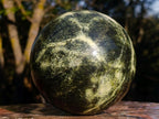 Polished Large Leopard Stone Sphere x 1 From Zimbabwe - Toprock Gemstones and Minerals 