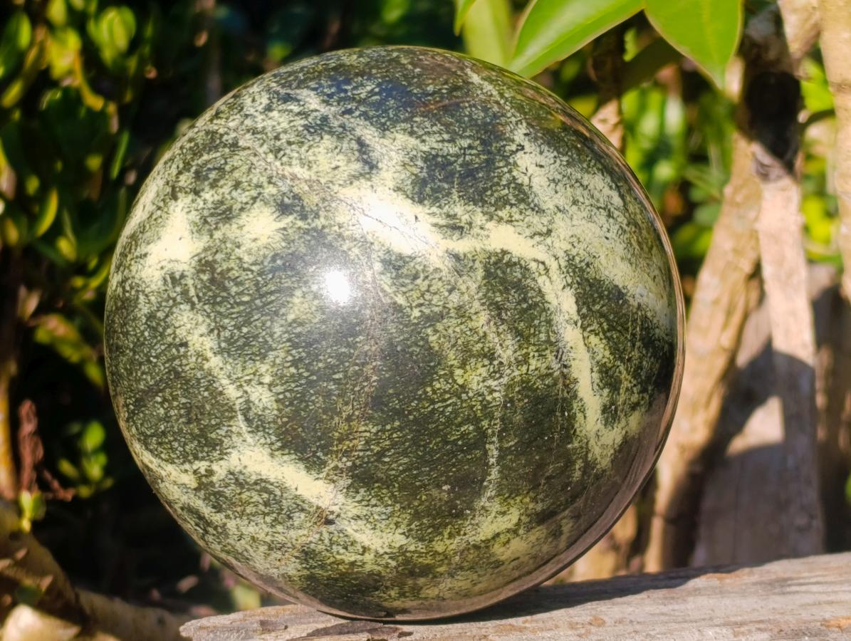 Polished Large Leopard Stone Sphere x 1 From Zimbabwe - Toprock Gemstones and Minerals 