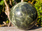 Polished Large Leopard Stone Sphere x 1 From Zimbabwe - Toprock Gemstones and Minerals 