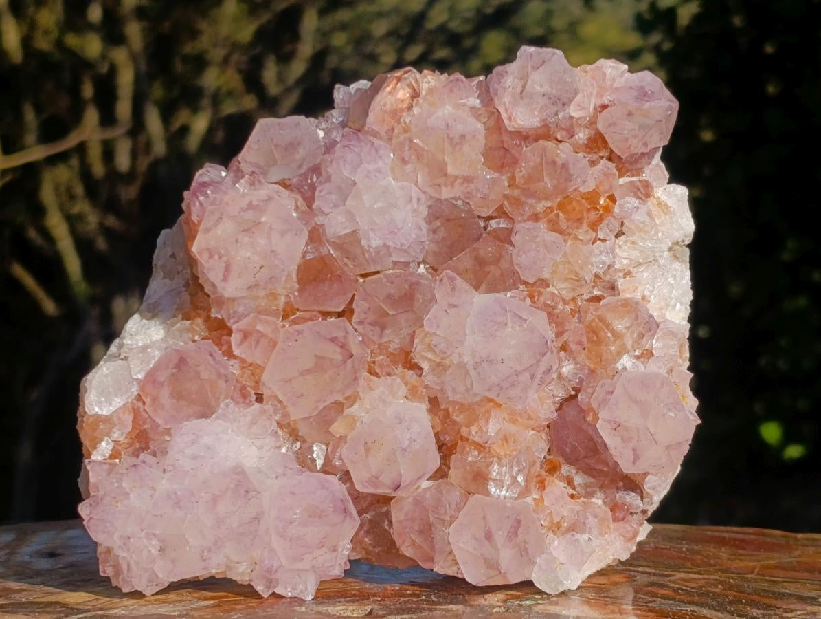 Natural Spirit Amethyst Clusters x 2 From Boekenhouthoek, South Africa - Toprock Gemstones and Minerals 