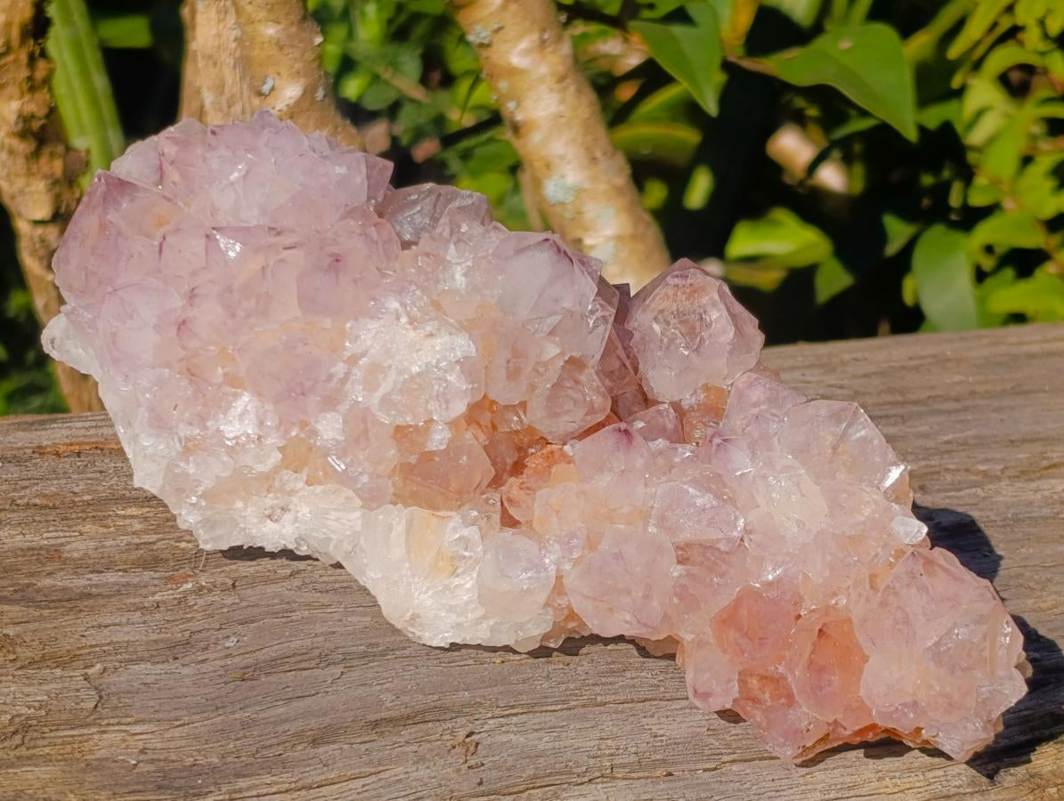 Natural Spirit Amethyst Clusters x 2 From Boekenhouthoek, South Africa - Toprock Gemstones and Minerals 