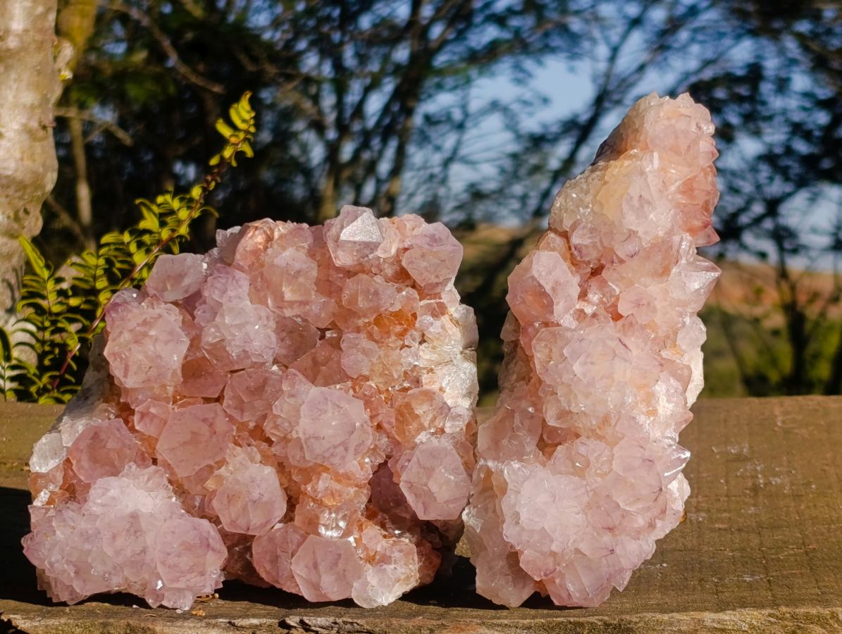 Natural Spirit Amethyst Clusters x 2 From Boekenhouthoek, South Africa - Toprock Gemstones and Minerals 