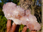 Natural Spirit Amethyst Clusters x 2 From Boekenhouthoek, South Africa - Toprock Gemstones and Minerals 