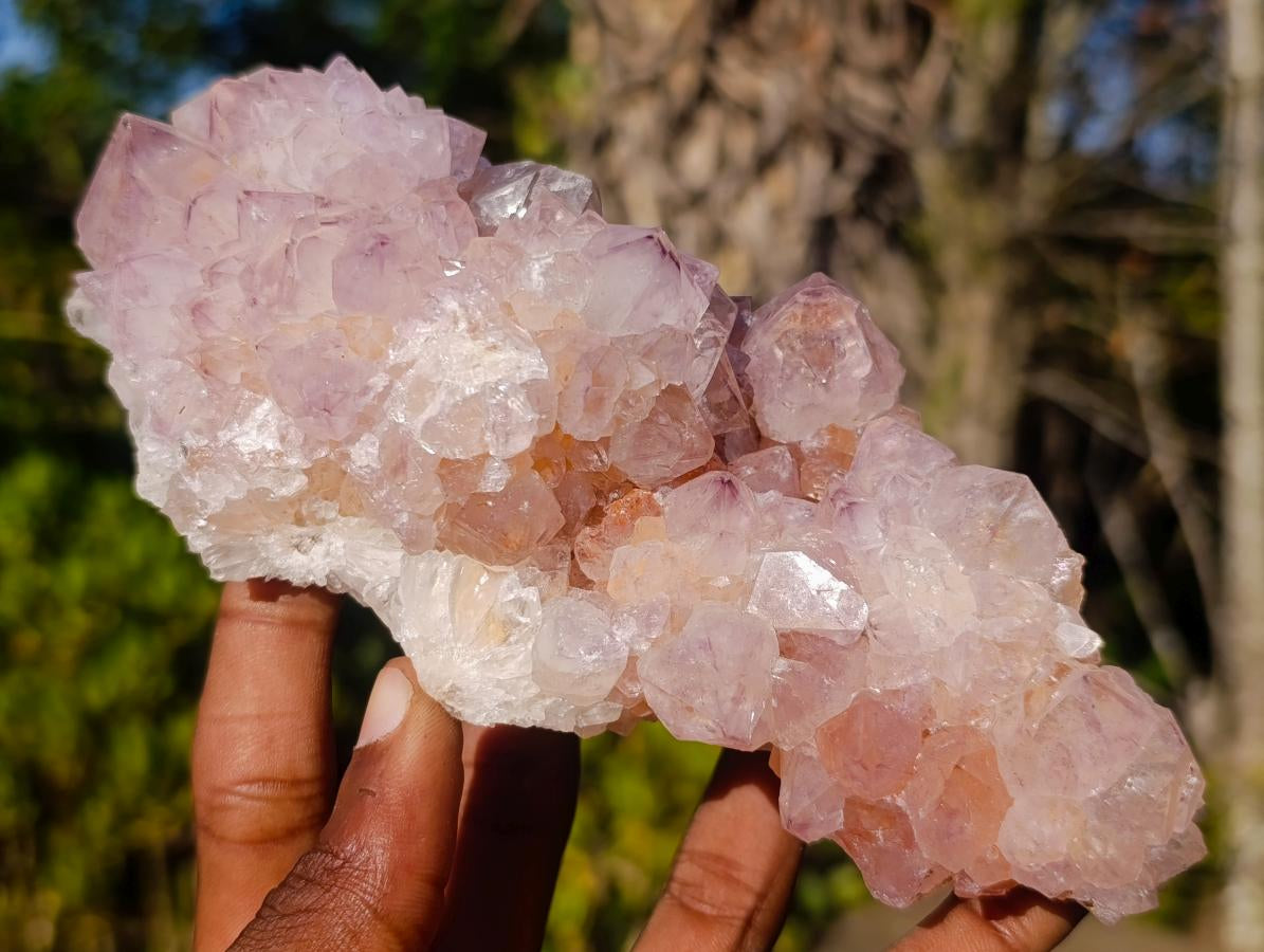 Natural Spirit Amethyst Clusters x 2 From Boekenhouthoek, South Africa - Toprock Gemstones and Minerals 