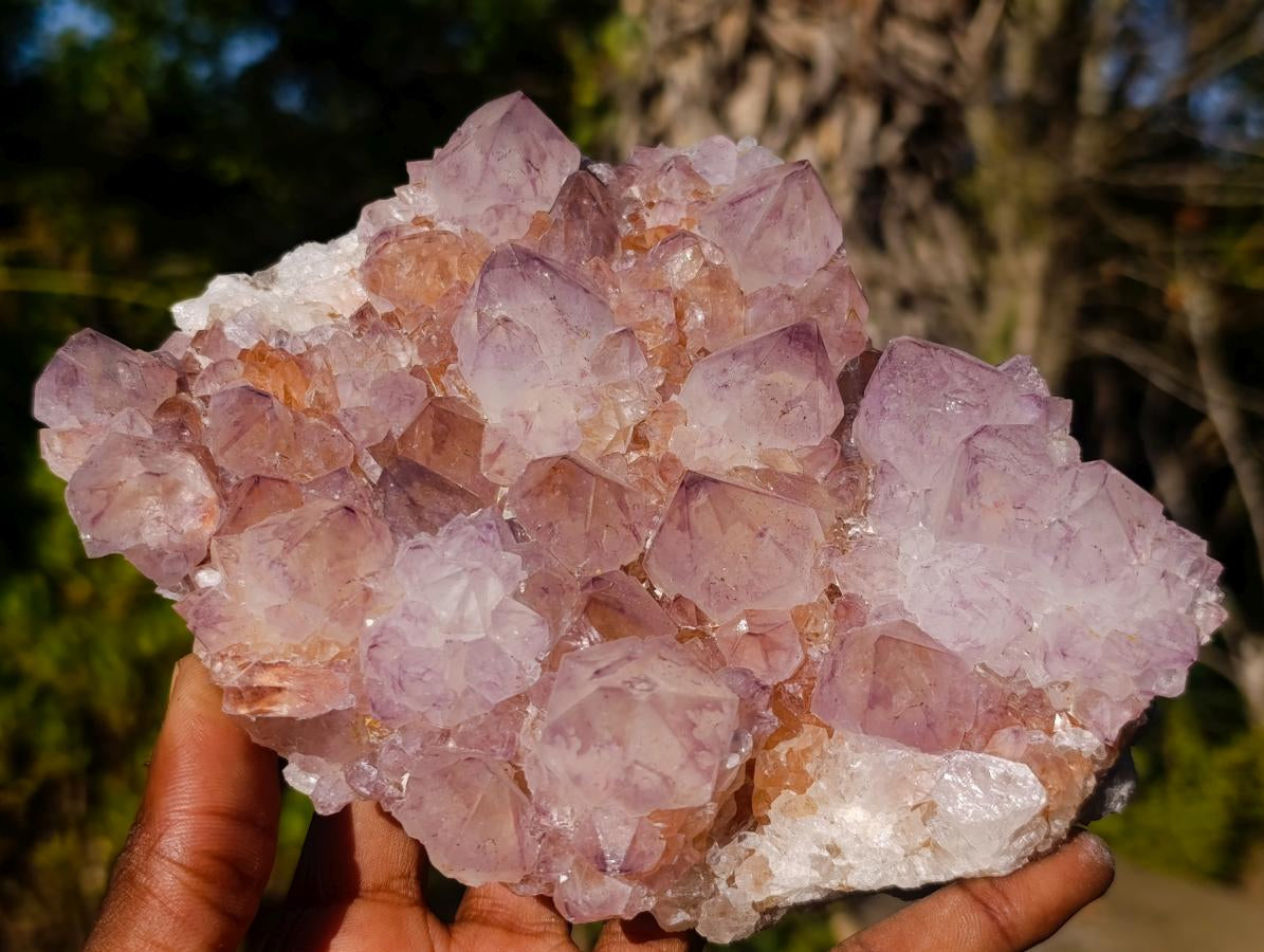 Natural Spirit Amethyst Clusters x 2 From Boekenhouthoek, South Africa - Toprock Gemstones and Minerals 