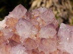 Natural Spirit Amethyst Clusters x 2 From Boekenhouthoek, South Africa - Toprock Gemstones and Minerals 
