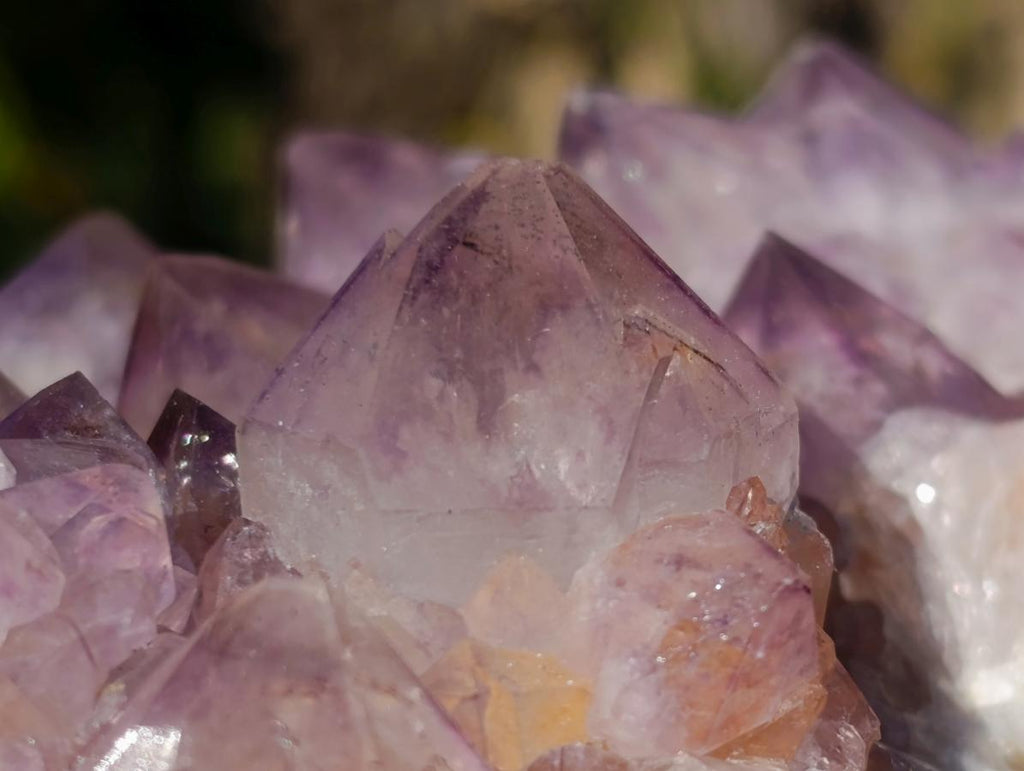 Natural Spirit Amethyst Clusters x 2 From Boekenhouthoek, South Africa - Toprock Gemstones and Minerals 
