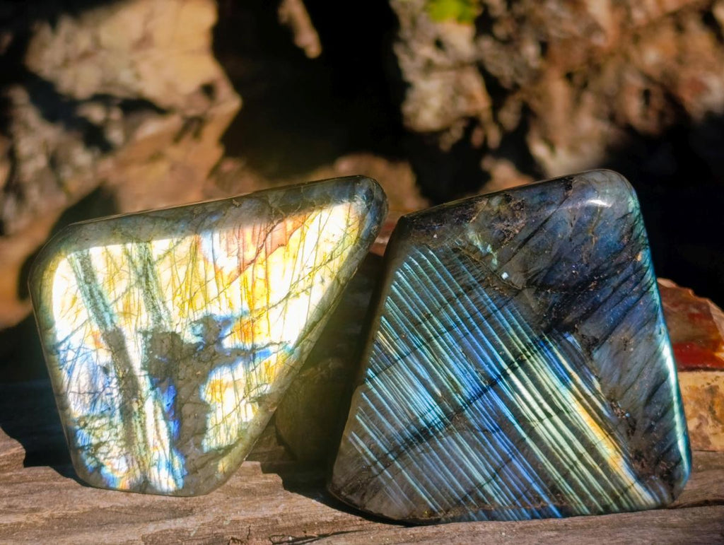 Polished Labradorite Standing Display Pieces x 6 From Madagascar - Toprock Gemstones and Minerals 