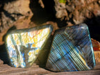 Polished Labradorite Standing Display Pieces x 6 From Madagascar - Toprock Gemstones and Minerals 