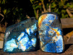 Polished Labradorite Standing Display Pieces x 6 From Madagascar - Toprock Gemstones and Minerals 