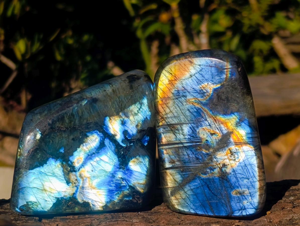 Polished Labradorite Standing Display Pieces x 6 From Madagascar - Toprock Gemstones and Minerals 