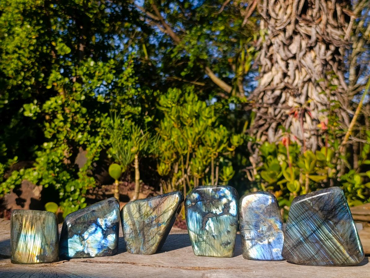 Polished Labradorite Standing Display Pieces x 6 From Madagascar - Toprock Gemstones and Minerals 