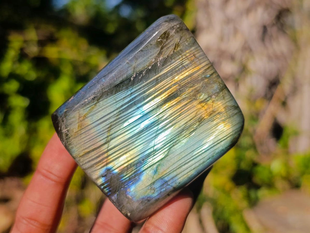 Polished Labradorite Standing Display Pieces x 6 From Madagascar - Toprock Gemstones and Minerals 