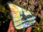Polished Labradorite Standing Display Pieces x 6 From Madagascar - Toprock Gemstones and Minerals 