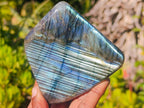 Polished Labradorite Standing Display Pieces x 6 From Madagascar - Toprock Gemstones and Minerals 