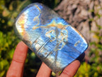 Polished Labradorite Standing Display Pieces x 6 From Madagascar - Toprock Gemstones and Minerals 