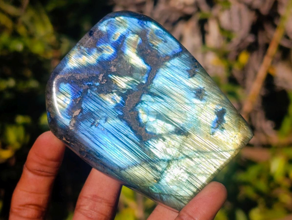Polished Labradorite Standing Display Pieces x 6 From Madagascar - Toprock Gemstones and Minerals 