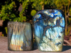 Polished Labradorite Standing Display Pieces x 6 From Madagascar - Toprock Gemstones and Minerals 