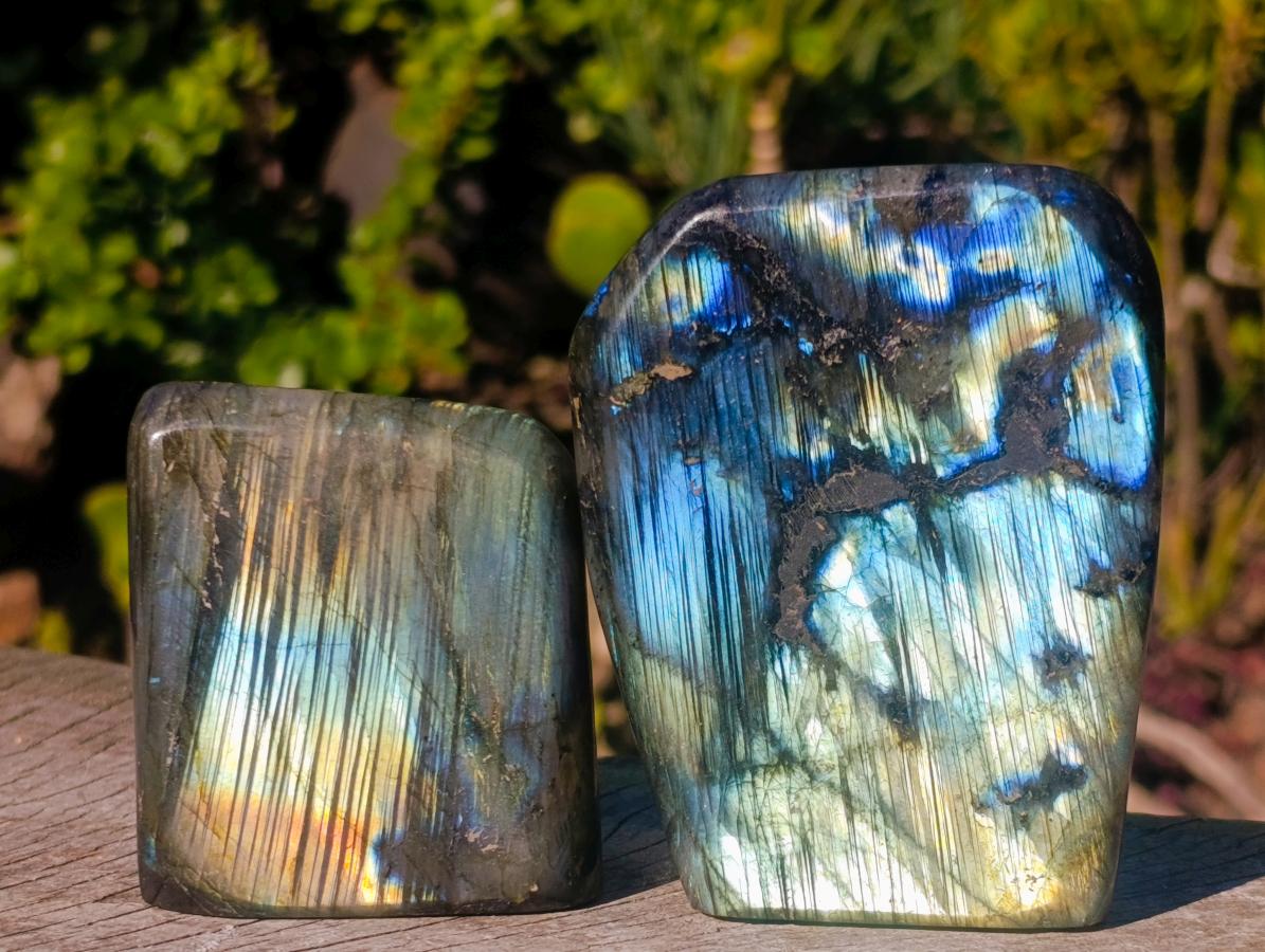 Polished Labradorite Standing Display Pieces x 6 From Madagascar - Toprock Gemstones and Minerals 