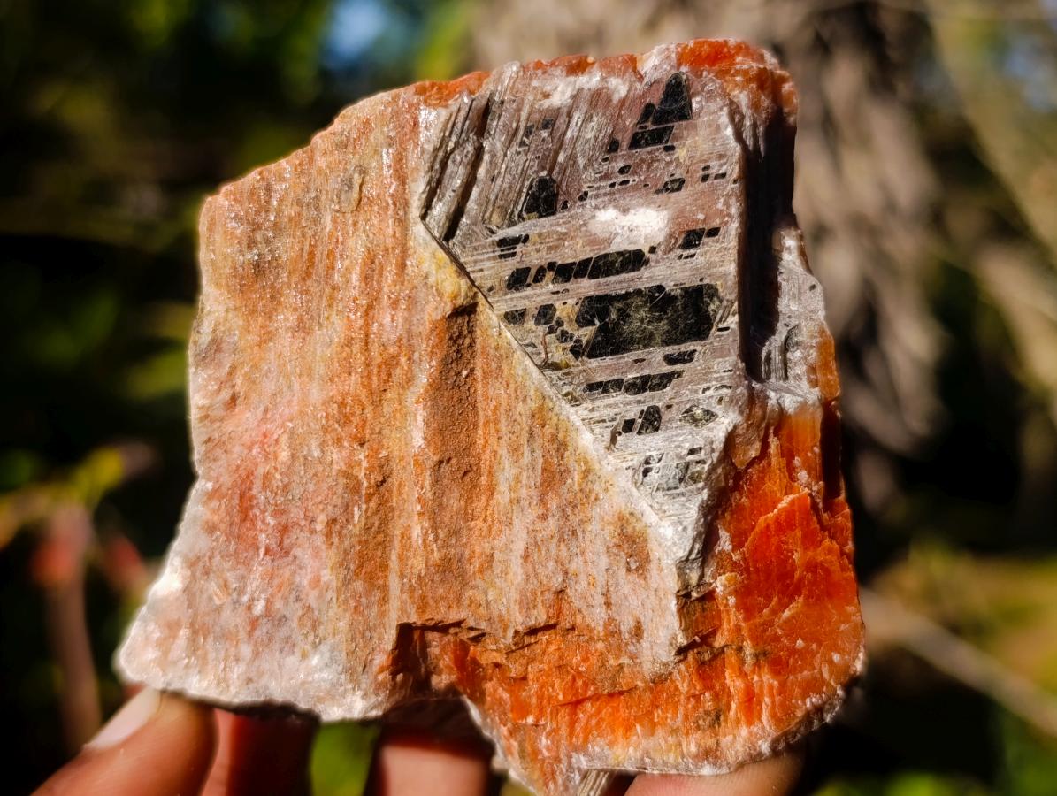 Natural Rhombohedral Sunset Orange Calcite Specimens x 6 From Spitzkop, Namibia