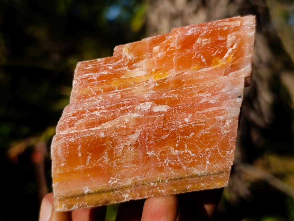 Natural Rhombohedral Sunset Orange Calcite Specimens x 6 From Spitzkop, Namibia