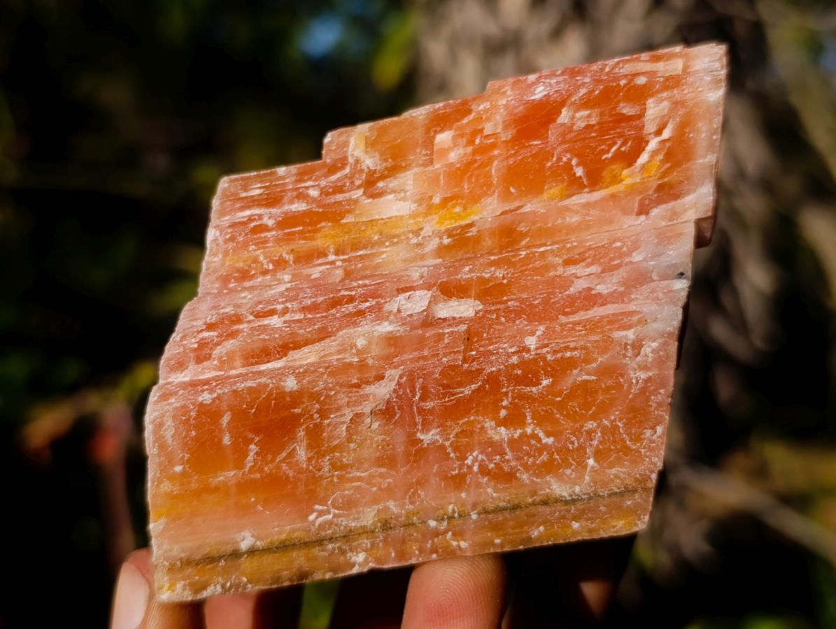 Natural Rhombohedral Sunset Orange Calcite Specimens x 6 From Spitzkop, Namibia