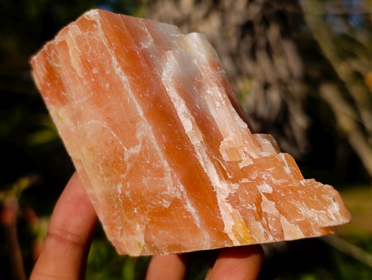 Natural Rhombohedral Sunset Orange Calcite Specimens x 6 From Spitzkop, Namibia