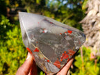 Polished Bloodstone Display Crystals x 2 From Swaziland - Toprock Gemstones and Minerals 
