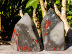 Polished Bloodstone Display Crystals x 2 From Swaziland - Toprock Gemstones and Minerals 