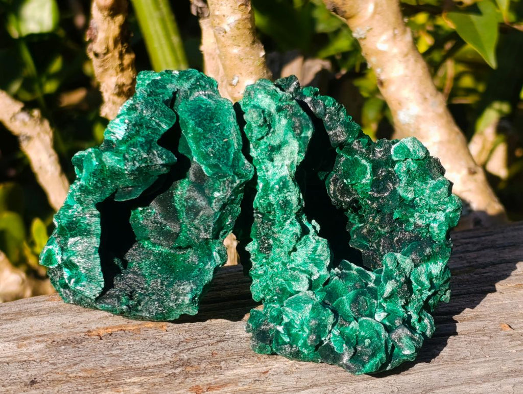 Natural Silky Malachite Specimens x 6 From Kasompe, Congo