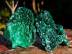 Natural Silky Malachite Specimens x 6 From Kasompe, Congo