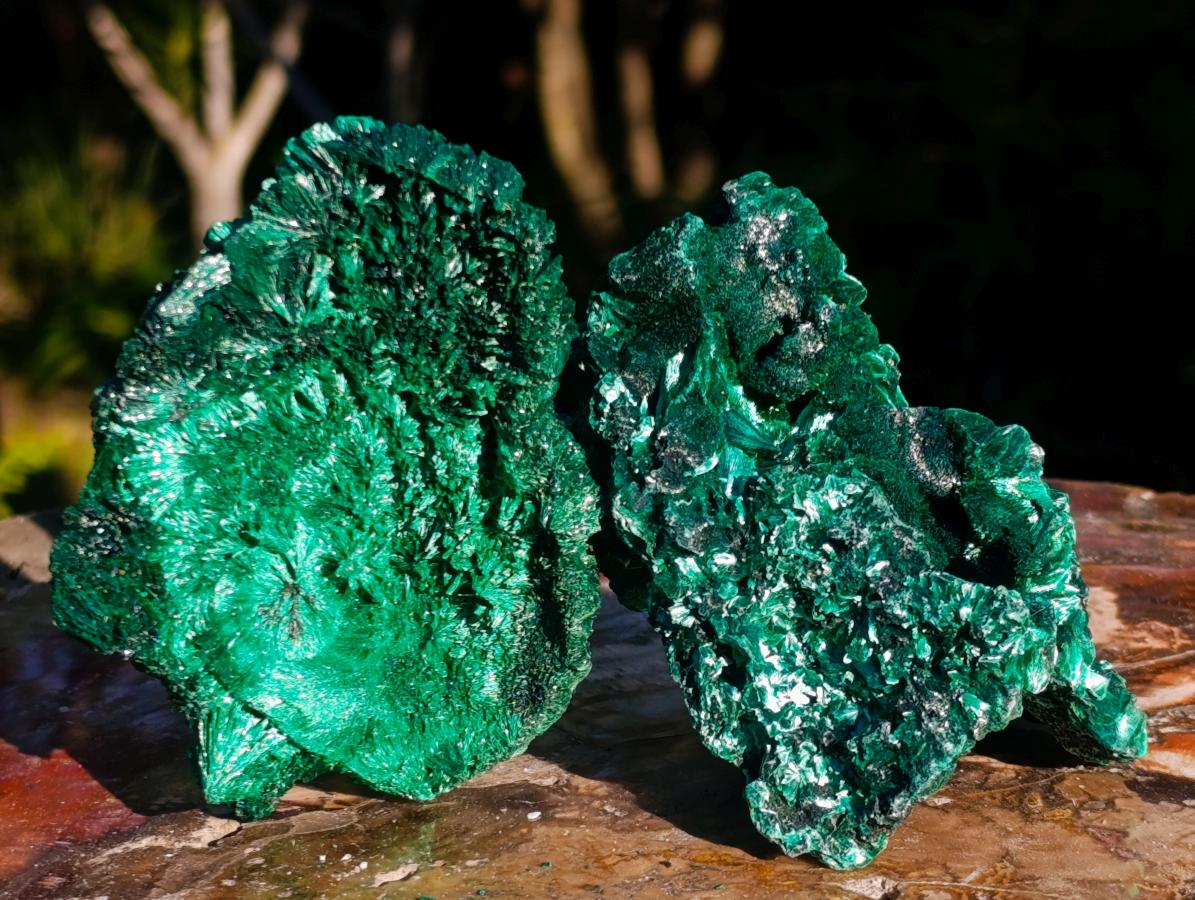 Natural Silky Malachite Specimens x 6 From Kasompe, Congo