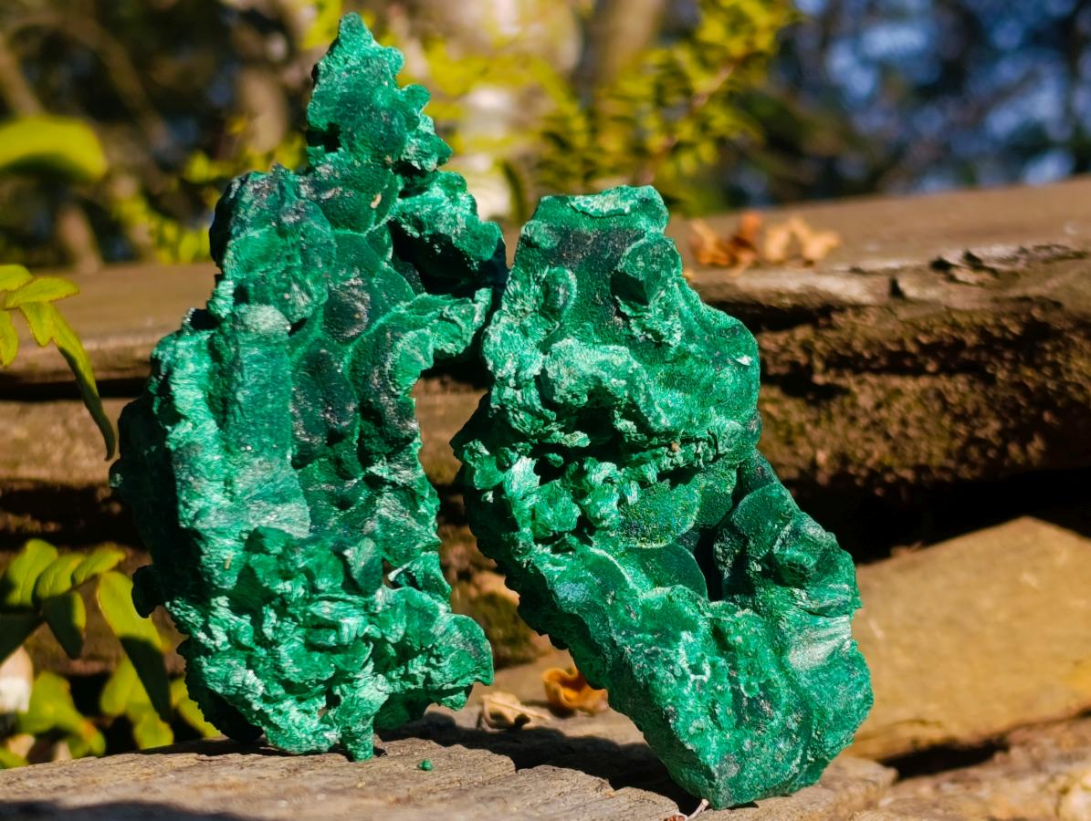 Natural Silky Malachite Specimens x 6 From Kasompe, Congo