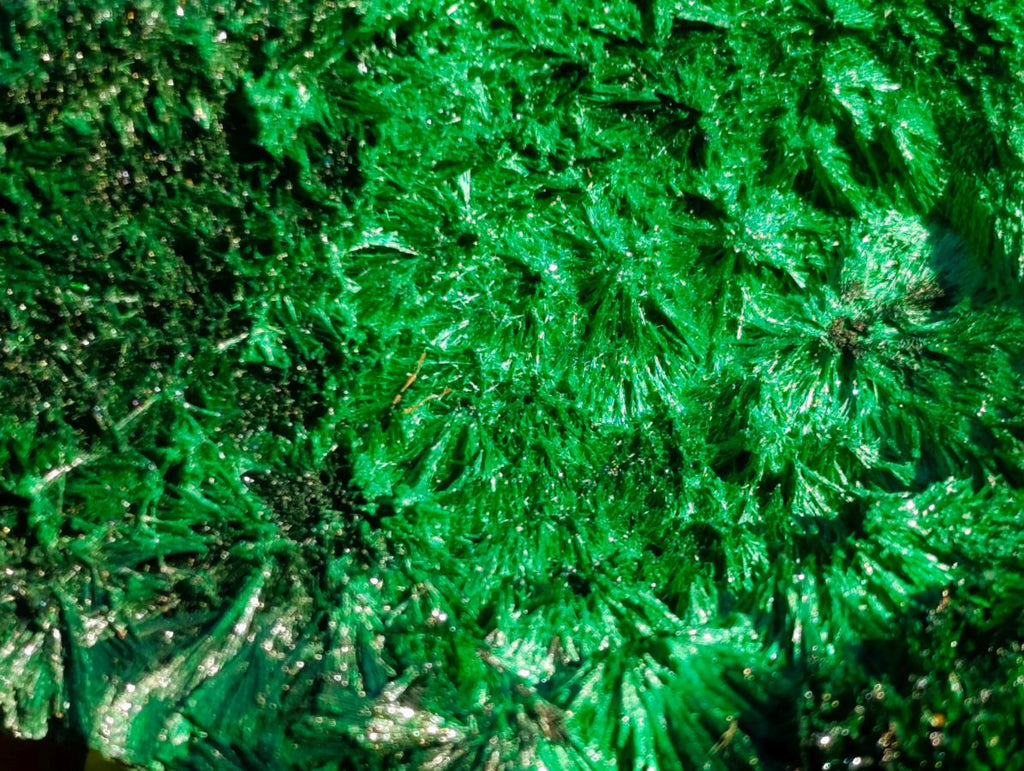 Natural Silky Malachite Specimens x 6 From Kasompe, Congo