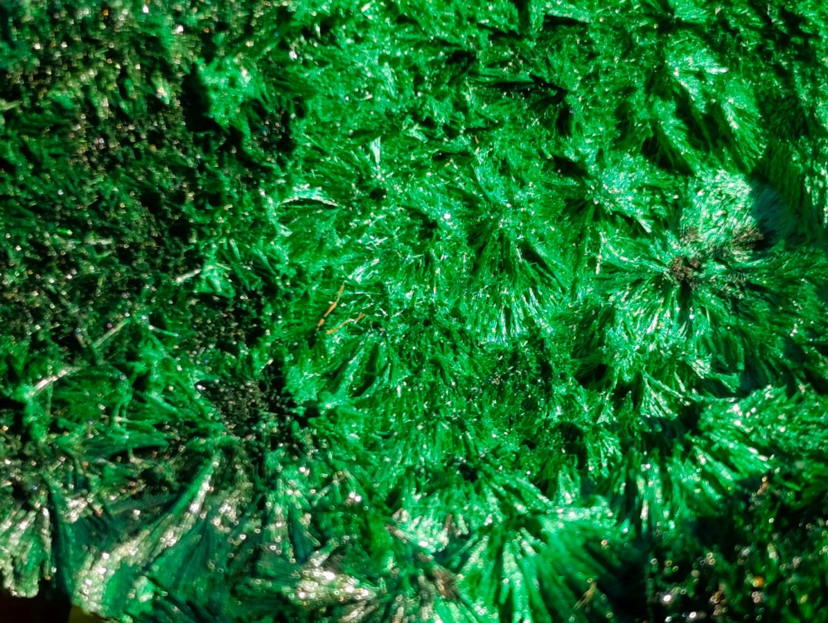 Natural Silky Malachite Specimens x 6 From Kasompe, Congo