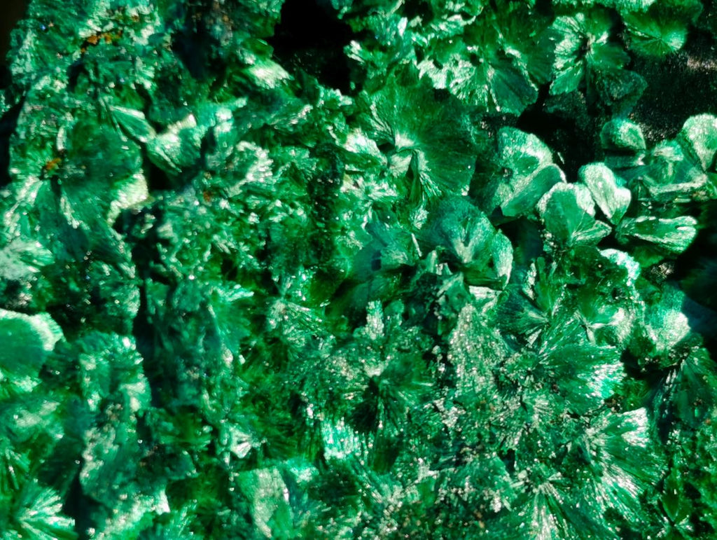 Natural Silky Malachite Specimens x 6 From Kasompe, Congo