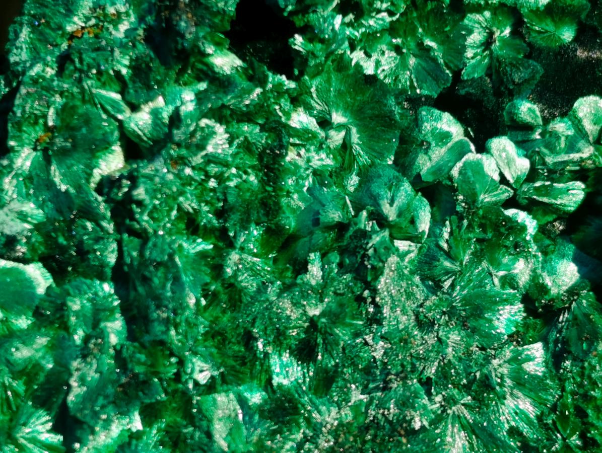 Natural Silky Malachite Specimens x 6 From Kasompe, Congo