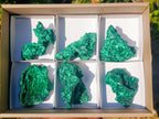 Natural Silky Malachite Specimens x 6 From Kasompe, Congo