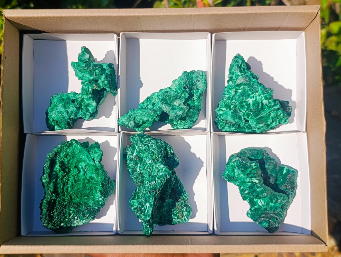 Natural Silky Malachite Specimens x 6 From Kasompe, Congo