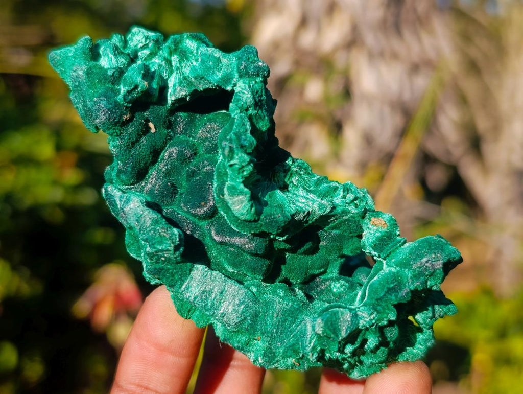 Natural Silky Malachite Specimens x 6 From Kasompe, Congo