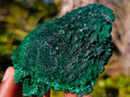 Natural Silky Malachite Specimens x 6 From Kasompe, Congo