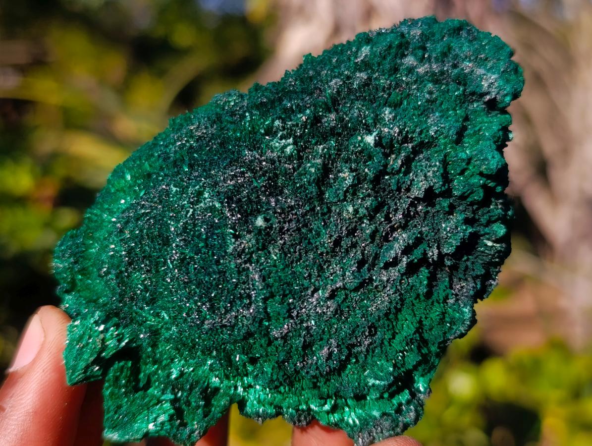 Natural Silky Malachite Specimens x 6 From Kasompe, Congo