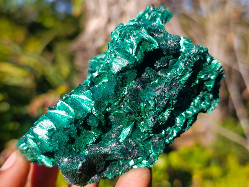 Natural Silky Malachite Specimens x 6 From Kasompe, Congo